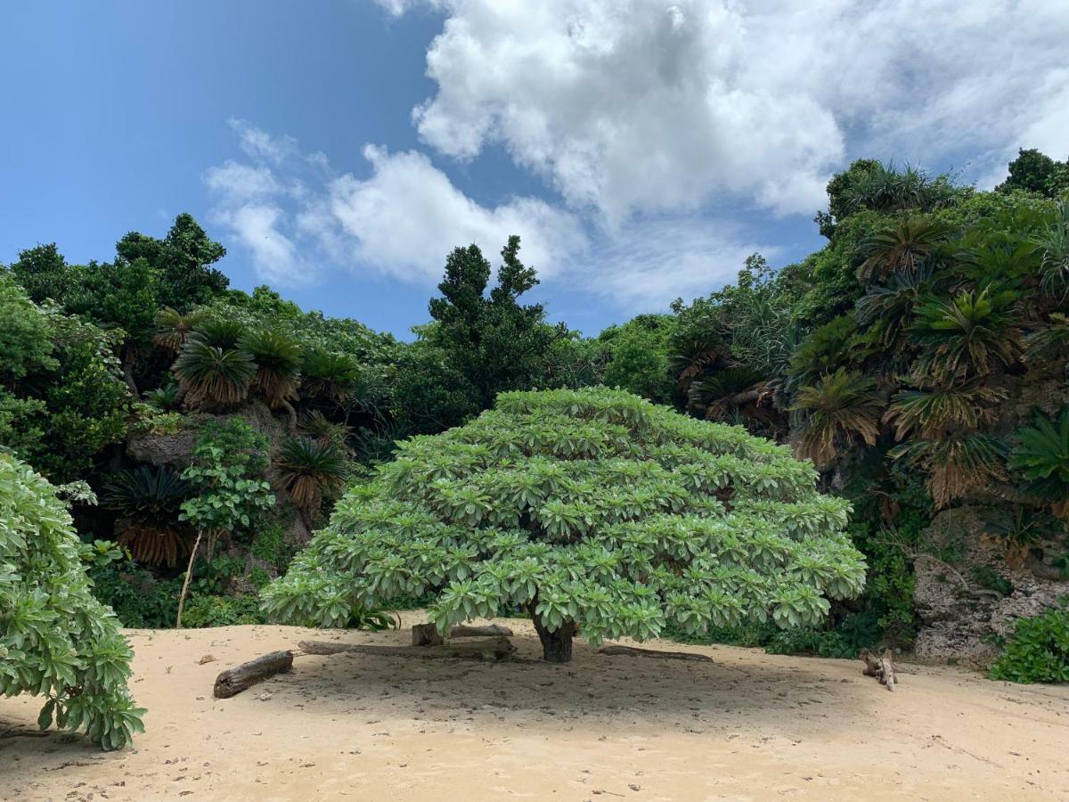 Villa Sound Of The Surf Ishigaki  Exterior photo